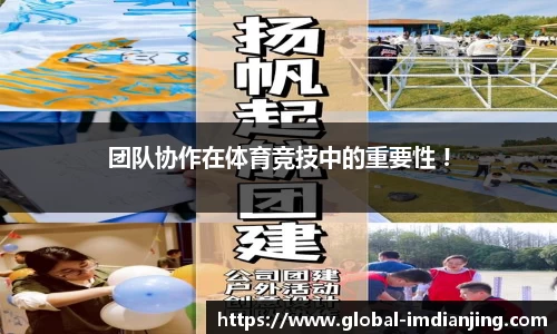 IM电竞官方正版网站